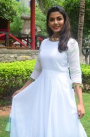 Anisha Ambrose Wet Dress Photos